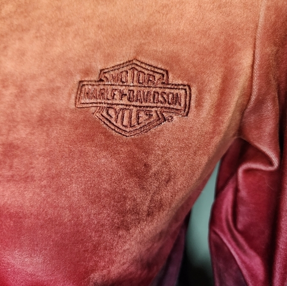Harley-Davidson Ombre Velvour Sunset Long Sleeve Top - Picture 4 of 10
